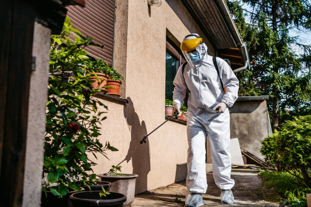 Best Cockroach Control Services  in Orland, CA