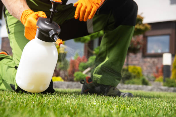 Best Pest Removal Services  in Orland, CA