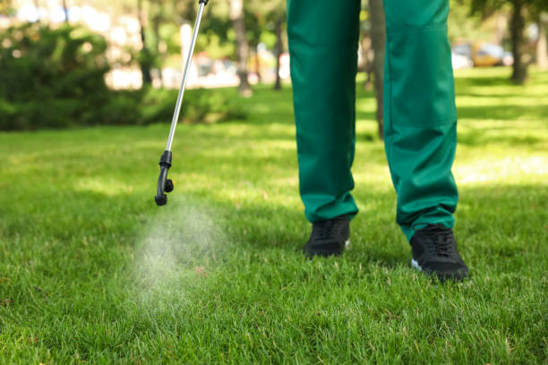 Best Ant Control Services  in Orland, CA