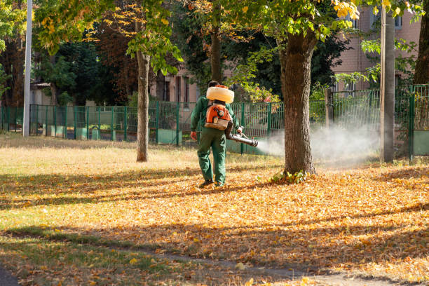 Best Best Pest Control Companies  in Orland, CA
