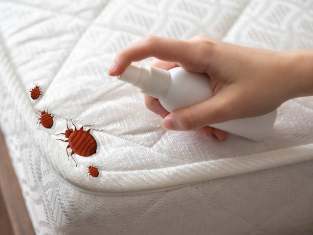 Best Pest Prevention Services  in Orland, CA