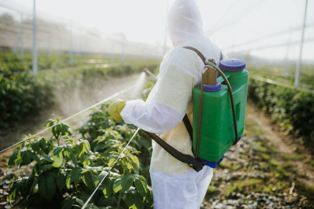 Orland, CA Pest Control Company